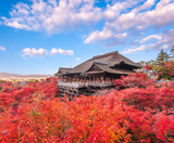  CUNG ĐƯỜNG VÀNG - NARITA – TOKYO – YAMANASHI – FUJI –KYOTO – KOBE – OSAKA 6N5Đ I BAY VIET NAM AIRLINES 