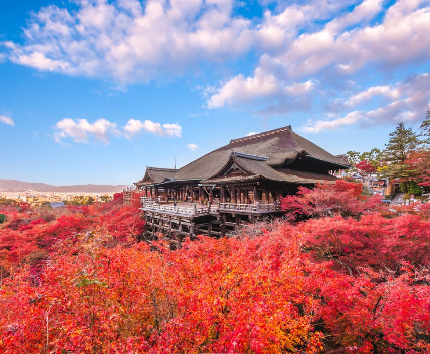  CUNG ĐƯỜNG VÀNG - NARITA – TOKYO – YAMANASHI – FUJI –KYOTO – KOBE – OSAKA 6N5Đ I BAY VIET NAM AIRLINES 