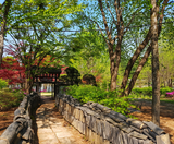  BUSAN – SEOUL – TRƯỢT TUYẾT 5N5Đ  BAY VIETJET AIR 