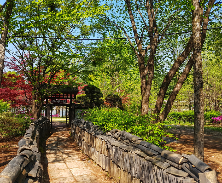  BUSAN – SEOUL – TRƯỢT TUYẾT 5N5Đ  BAY VIETJET AIR 