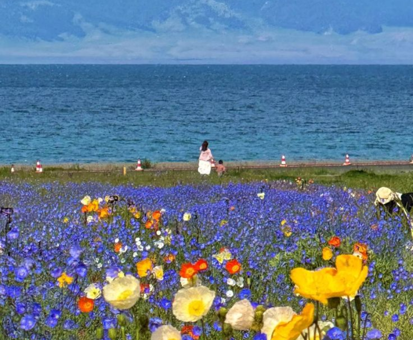  TÂN CƯƠNG 9N8Đ | BAY AIR CHINA 