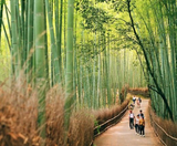  CUNG ĐƯỜNG VÀNG - NARITA – TOKYO – YAMANASHI – FUJI –KYOTO – KOBE – OSAKA 6N5Đ I BAY VIET NAM AIRLINES 