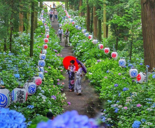  NAGOYA–HAKONE–FUJI MOUNT–TOKYO–NAGOYA 5N4Đ  | BAY VIETNAM AIRLINES 