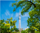  SHIRAKAWAGO - CUNG ĐƯỜNG VÀNG - OSAKA – GIFU – NAGANO – YAMANASHI – FUJI – TOKYO – NARITA 6N5Đ | BAY VIETNAM AIRLINES 