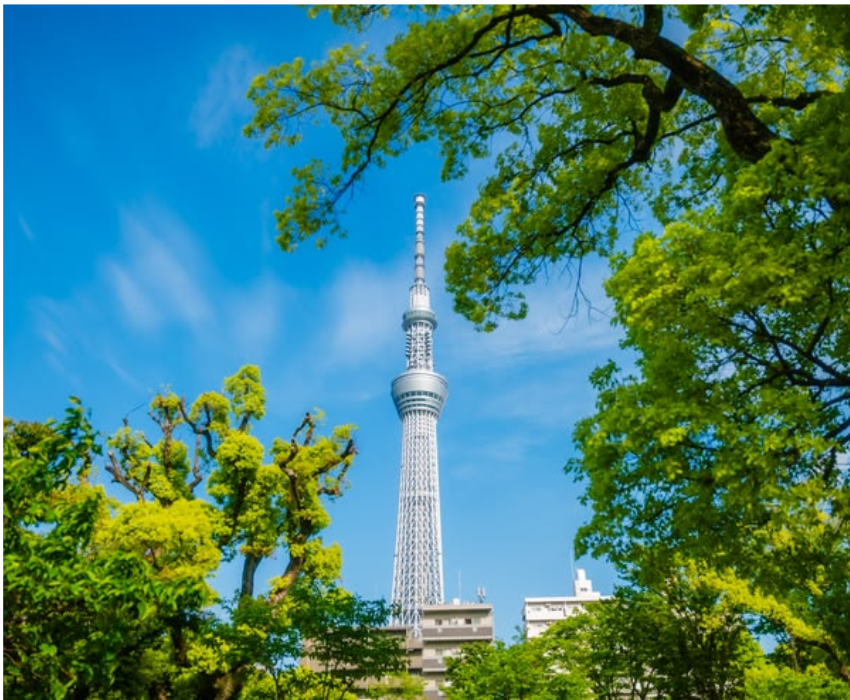  SHIRAKAWAGO - CUNG ĐƯỜNG VÀNG - OSAKA – GIFU – NAGANO – YAMANASHI – FUJI – TOKYO – NARITA 6N5Đ | BAY VIETNAM AIRLINES 