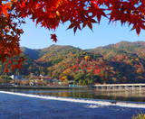  CUNG ĐƯỜNG VÀNG - NARITA – TOKYO – YAMANASHI – FUJI –KYOTO – KOBE – OSAKA 6N5Đ I BAY VIET NAM AIRLINES 