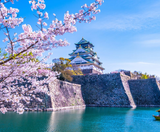  SHIRAKAWAGO – CUNG ĐƯỜNG VÀNG 6N5Đ  | BAY VIETNAM AIRLINES 