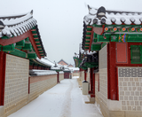  BUSAN – SEOUL – TRƯỢT TUYẾT 5N5Đ  BAY VIETJET AIR 