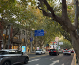  DISNEYLAND - THƯỢNG HẢI – TÔ CHÂU – VÔ TÍCH Ô TRẤN – HÀNG CHÂU 5N4Đ | BAY VIETNAM AIRLINES 