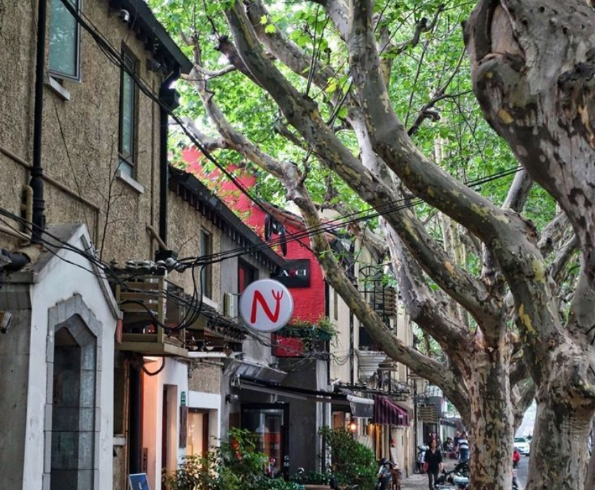  DISNEYLAND - THƯỢNG HẢI – TÔ CHÂU – VÔ TÍCH Ô TRẤN – HÀNG CHÂU 5N4Đ | BAY VIETNAM AIRLINES 