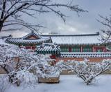  BUSAN – SEOUL – TRƯỢT TUYẾT 5N5Đ  BAY VIETJET AIR 