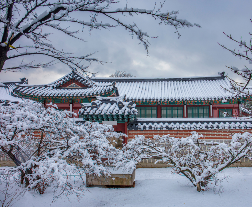  BUSAN – SEOUL – TRƯỢT TUYẾT 5N5Đ  BAY VIETJET AIR 