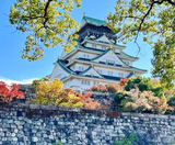  CUNG ĐƯỜNG VÀNG - NARITA – TOKYO – YAMANASHI – FUJI –KYOTO – KOBE – OSAKA 6N5Đ I BAY VIET NAM AIRLINES 