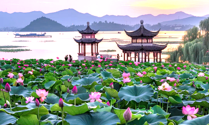  THƯỢNG HẢI - TÔ CHÂU - VÔ TÍCH - HÀNG CHÂU - Ô TRẤN - NGẮM HOA ANH ĐÀO 5N4Đ | BAY VIETNAM AIRLINES | LỊCH KHỞI HÀNH 21/03/2027 
