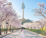  CUNG ĐƯỜNG VÀNG - SHIRAKAWAGO 6N5Đ | JAPAN AIRLINES 