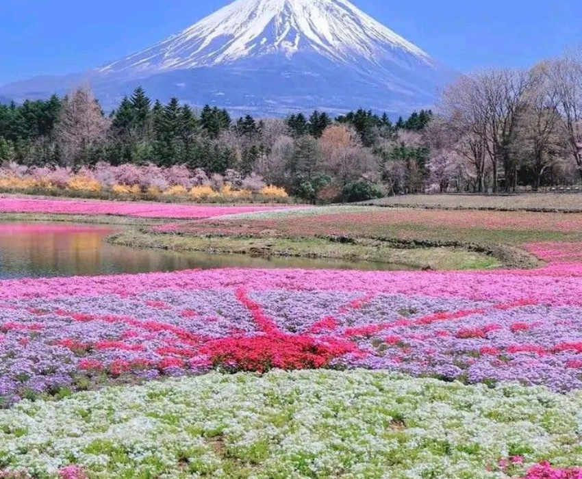  CUNG ĐƯỜNG VÀNG - SHIRAKAWAGO 6N5Đ | JAPAN AIRLINES 