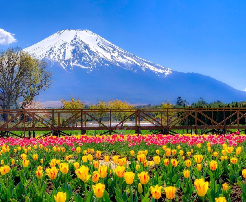  CUNG ĐƯỜNG VÀNG - SHIRAKAWAGO 6N5Đ | JAPAN AIRLINES 