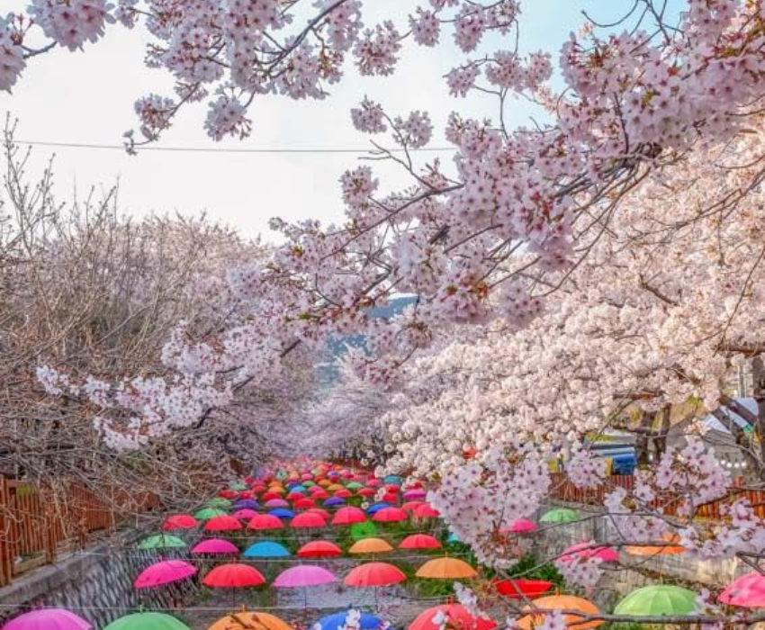  BUSAN – SEOUL – LOTTE WORLD 5N5Đ | BAY VIETNAM AIRLINES 