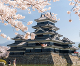  CUNG ĐƯỜNG VÀNG - SHIRAKAWAGO 6N5Đ | JAPAN AIRLINES 