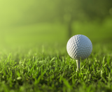 GOLF TOUR - HÀN QUỐC CAO CẤP | VIETNAM AIRLINES 