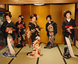  CUNG ĐƯỜNG VÀNG - SHIRAKAWAGO 6N5Đ | JAPAN AIRLINES 