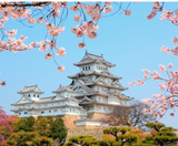  CUNG ĐƯỜNG VÀNG - SHIRAKAWAGO 6N5Đ | JAPAN AIRLINES 