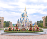  Disneyland - NARITA - TOKYO - FUJI– DISNEYLAND – NARITA 5N4Đ | BAY VIETNAM AIRLINES 