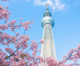  CUNG ĐƯỜNG VÀNG 6N5Đ  | BAY VIETNAM AIRLINES 