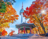  BUSAN – SEOUL – NAMI – LOTTE WORLD 5N5Đ  | BAY VIETJET AIR 