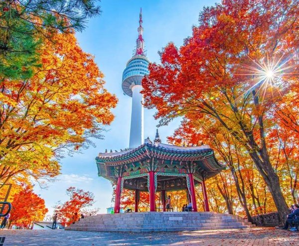  BUSAN – SEOUL – NAMI – LOTTE WORLD 5N5Đ  | BAY VIETJET AIR 