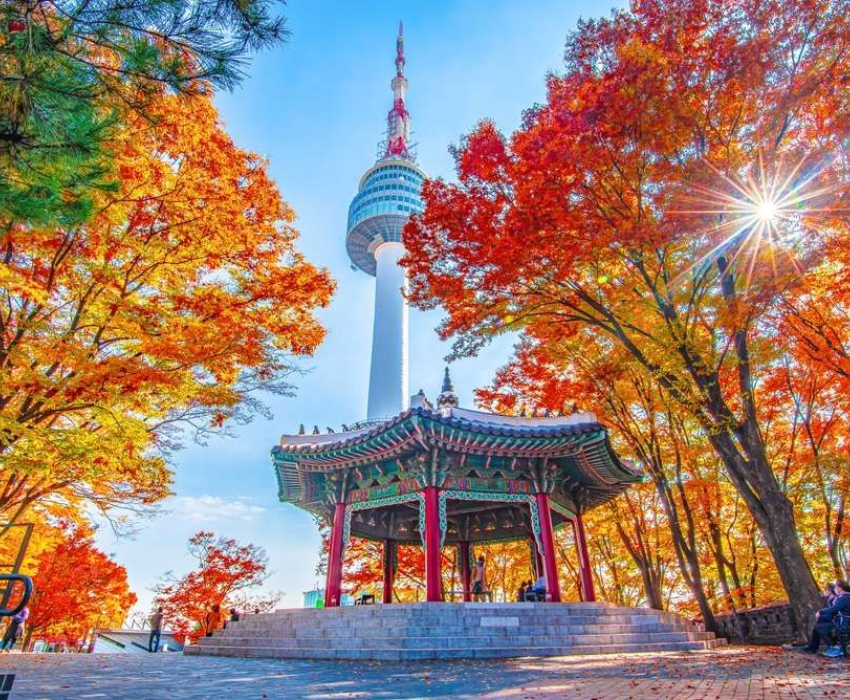  BUSAN – SEOUL – NAMI – LOTTE WORLD 5N5Đ  | BAY VIETJET AIR 