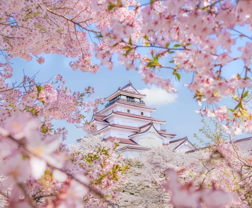 SHIRAKAWAGO – CUNG ĐƯỜNG VÀNG 6N5Đ  | BAY VIETNAM AIRLINES 