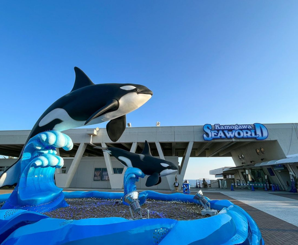  SEAWORLD - NARITA – TOKYO  – FUJI – YOKOHAMA - NARITA 5N4Đ  | BAY VIETNAM AIRLINES 