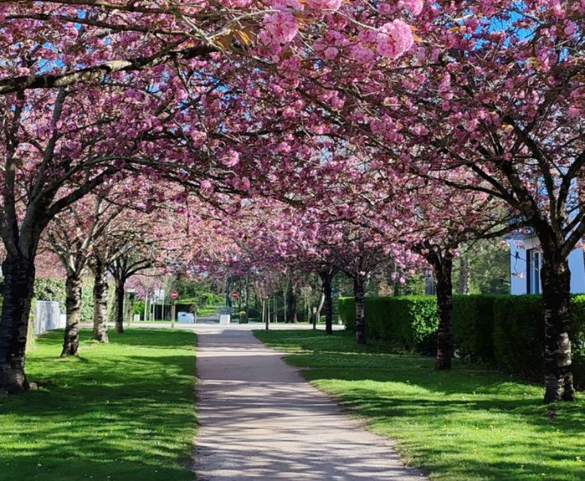  SEOUL – NAMI – EVERLAND 4N4Đ | BAY VIETNAM AIRLINES 