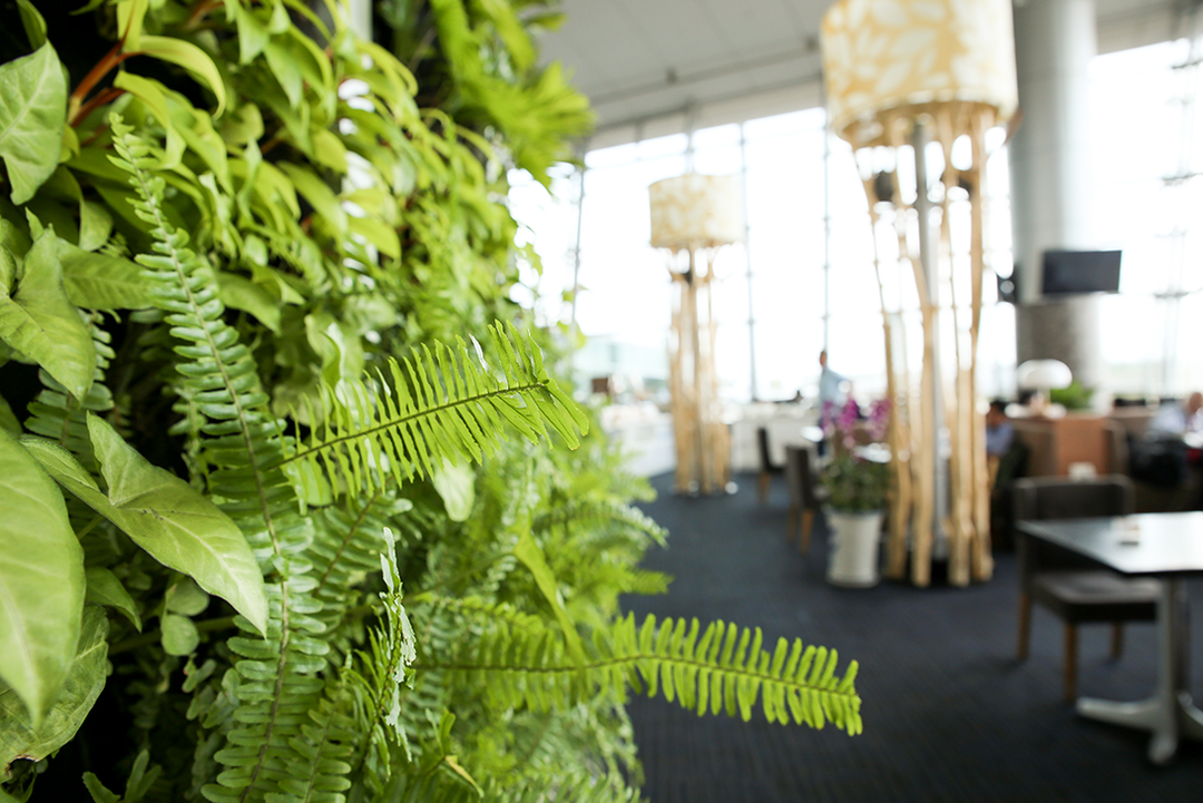  PHÒNG CHỜ ROSE BUSINESS LOUNGE (NHÀ GA T2) 