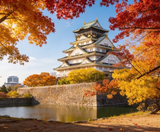  CUNG ĐƯỜNG - KANSAI – OSAKA – KYOTO – FUJI – TOKYO- HANEDA 5N4Đ | BAY VIETJET AIR 