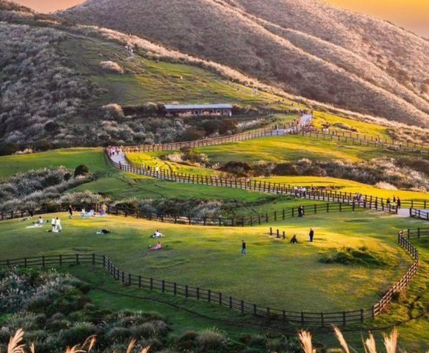  ĐÀI BẮC – ĐÀI TRUNG – ĐÀI BẮC 4N4Đ  | BAY EVA AIR 