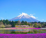  SHIRAKAWAGO - CUNG ĐƯỜNG VÀNG - OSAKA – GIFU – NAGANO – YAMANASHI – FUJI – TOKYO – NARITA 6N5Đ | BAY VIETNAM AIRLINES 