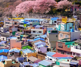  BUSAN – DAEGU – SEOUL 5N5Đ | BAY VIETNAM AIRLINES 