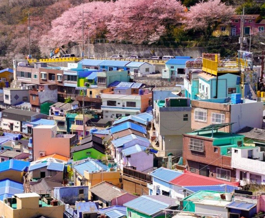  BUSAN – DAEGU – SEOUL 5N5Đ | BAY VIETNAM AIRLINES 