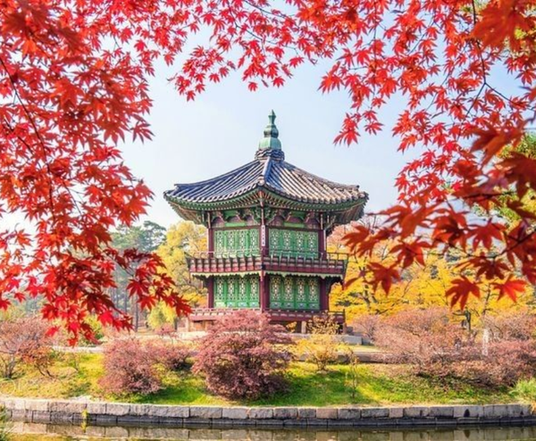  BUSAN – SEOUL – NAMI – LOTTE WORLD 5N5Đ | BAY VIETNAM AIRLINES 