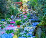  CUNG ĐƯỜNG VÀNG - OSAKA – KOBE – KYOTO – TOYOHASHI – FUJI – TOKYO – NARITA  | BAY VIETNAM AIRLINES 