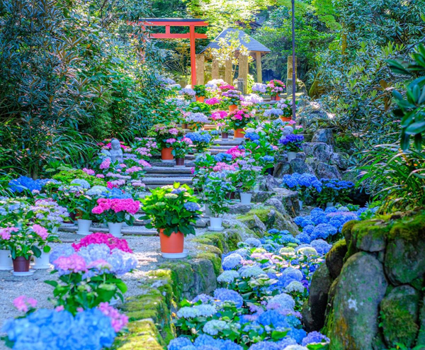  CUNG ĐƯỜNG VÀNG - OSAKA – KOBE – KYOTO – TOYOHASHI – FUJI – TOKYO – NARITA  | BAY VIETNAM AIRLINES 