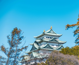  NHẬT BẢN: NAGOYA – HAKONE – FUJI – TOKYO – NAGOYA 4N4Đ | BAY VIETNAM AIRLINES 