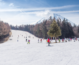  NHẬT BẢN: NAGOYA – HAKONE – FUJI – TOKYO – NAGOYA 4N4Đ | BAY VIETNAM AIRLINES 
