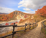  BẮC HẢI ĐẢO – HOKKAIDO MÙA THU: CHITOSE – OTARU – FURANO – SAPPORO 6N5Đ | BAY SHENZHEN AIRLINES 