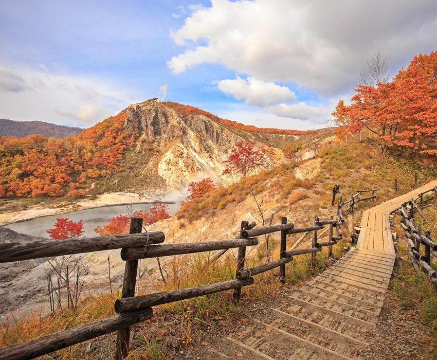  BẮC HẢI ĐẢO – HOKKAIDO MÙA THU: CHITOSE – OTARU – FURANO – SAPPORO 6N5Đ | BAY SHENZHEN AIRLINES 