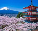  CUNG ĐƯỜNG VÀNG - SHIRAKAWAGO 6N5Đ | JAPAN AIRLINES 