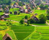  Disneyland - NARITA - TOKYO - FUJI– DISNEYLAND – NARITA 5N4Đ | BAY VIETNAM AIRLINES 