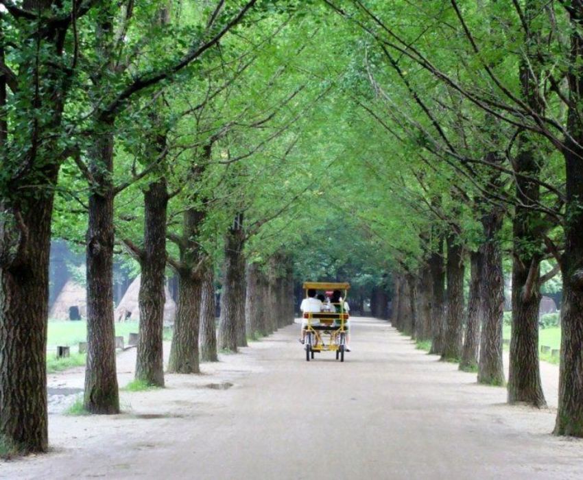  SEOUL – NAMI – LOTTE WORLD – LOTTE AQUARIUM 4N3Đ | BAY VIETNAM AIRLINES 